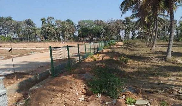 Featured Image of KNS Byalalu